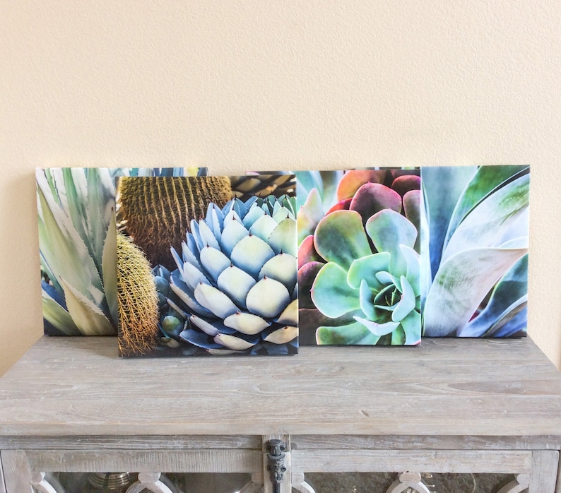 Succulent Plants Art, Set of 4 Square Canvas Prints, Desert Decor - Etsy