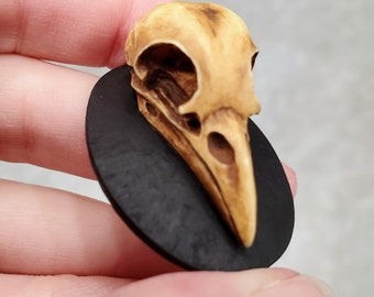 UNSET Cameo 3D Raven Skull Hand Painted Cabochon Your Choice of Size and Color Hand Painted 13x18mm, 18x25mm, 30x40mm Acrylic