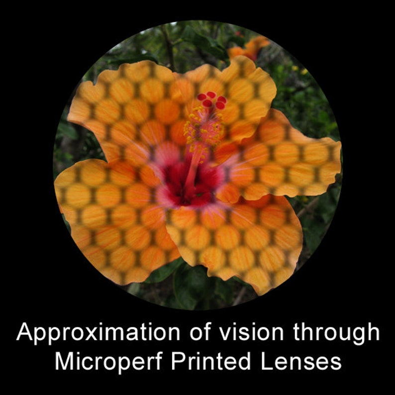 Octopunx Printed Perforated Lens Mix and Match Steampunk Goggles Your Choice of Color and Pattern