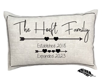 Established Expanded Expecting parents, twins birth announcement, pregnancy announcement, gender reveal gift, personalized pillow