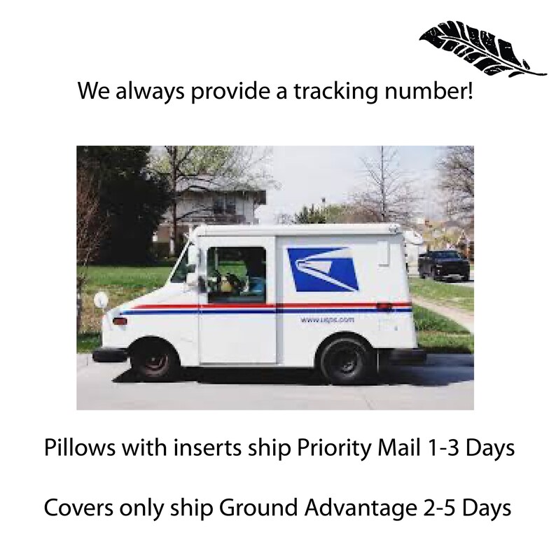 May include: A white USPS mail truck with the USPS logo on the side. The truck is parked on a street with a house in the background. The text on the truck says "www.usps.com".