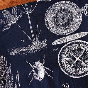 Japanese Navy Blue Linen Cotton Fabric with Special Plant & Animal Specimens for Cloth Bag Home Decor - 1/2 yard f44