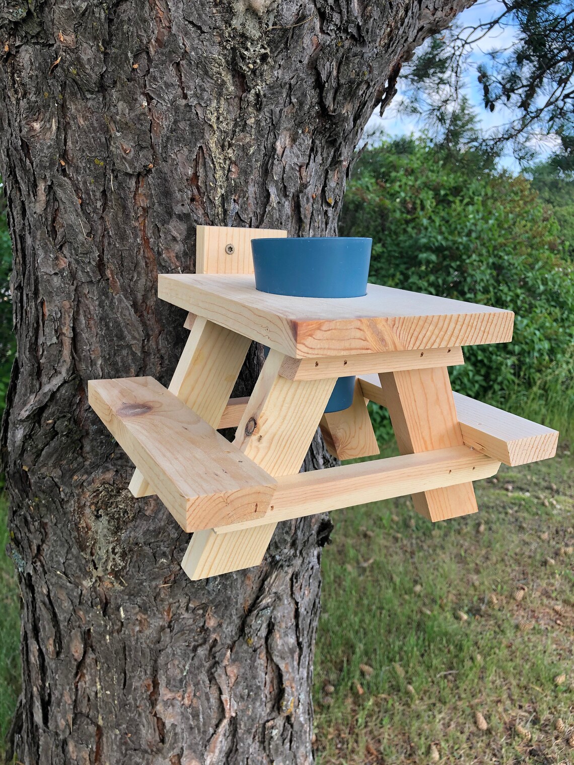 Squirrel Picnic Table Squirrel Feeder Squirrel Feeder | Etsy