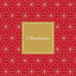 Dog Bandanas | Set of 3 bandanas | Free Shipping in the US | Snap close Bandana | Pet Bandanas |  Dog accessories | Dog Bandana |