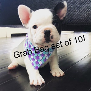 Dog Bandanas | Set of 10 Grab Bag | Bandanas | Pet Bandanas | 10 Bandanas | Pet accessories | Bandana | Pet Bandanas | Cat Bandanas |