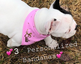 3 Dog Bandanas, Personalized Dog Bandanas, Set of 3 Dog bandanas, customized dog bandanas, pet bandanas, name on dog bandana, custom bandana