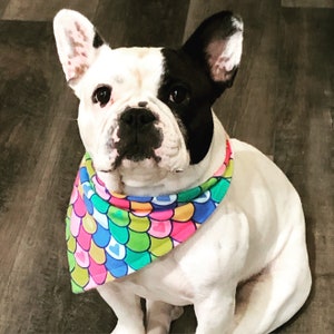 Hundehalstücher | 5er Set Grab Bag | Bandanas | Haustier Bandanas | 5 Bandanas | Tierzubehör | Halstuch | Haustier Bandanas | Katzen Bandanas |