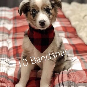 Dog Bandana | set of 10 | Free Shipping in the US | Snap close Bandana | Pet Bandanas | Dog accessories | Dog bandanas | cute dog Bandanas |