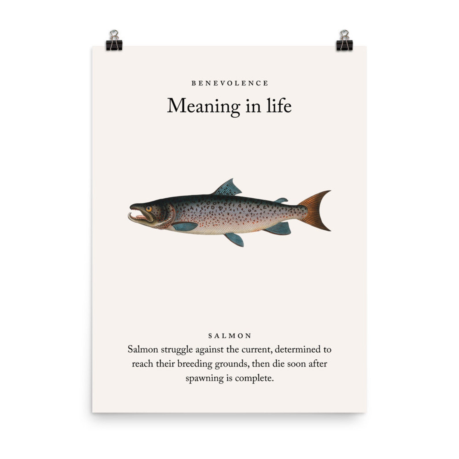 Salmon Meaning in life Wall Art Etsy
