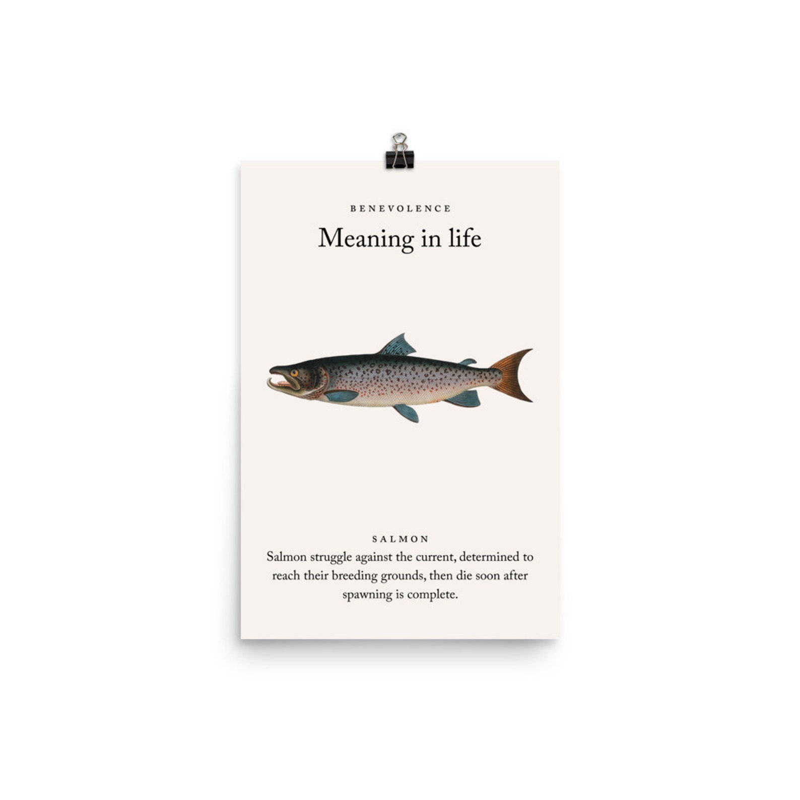 Salmon Meaning in life Wall Art Etsy