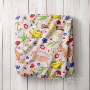 Bearded Dragons Velveteen Plush Blanket Throw Blanket Baby Blanket Gifts For Her Gifts for Kids Gifts for Him Beardies Dragons Reptile Decor