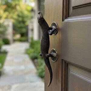 May include: Bronze door handle shaped like a lizard, mounted on a wooden door. The lizard has a textured body and is attached to the door with circular brass accents. The door is a medium brown color.