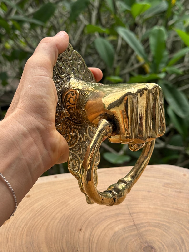 May include: A brass door knocker in the shape of a fist. The knocker has a detailed, ornate backplate with a decorative design. The fist is smooth and polished, with a ring-shaped handle. The knocker is held against a wooden surface.