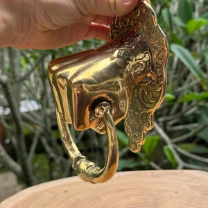 May include: A polished brass door knocker with an ornate design. The knocker features a rectangular face with a ring handle and decorative embellishments. The brass has a warm, golden hue, reflecting light. The background is blurred, with green foliage.