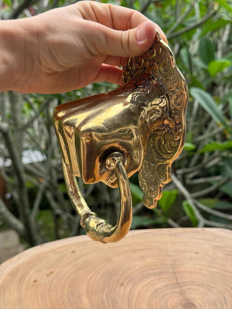 May include: A polished brass door knocker with an ornate design. The knocker features a rectangular face with a ring handle and decorative embellishments. The brass has a warm, golden hue, reflecting light. The background is blurred, with green foliage.