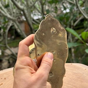 May include: A brass-colored, irregularly shaped object with multiple holes and a textured surface. The object is held in a hand, with a blurred green background of foliage.