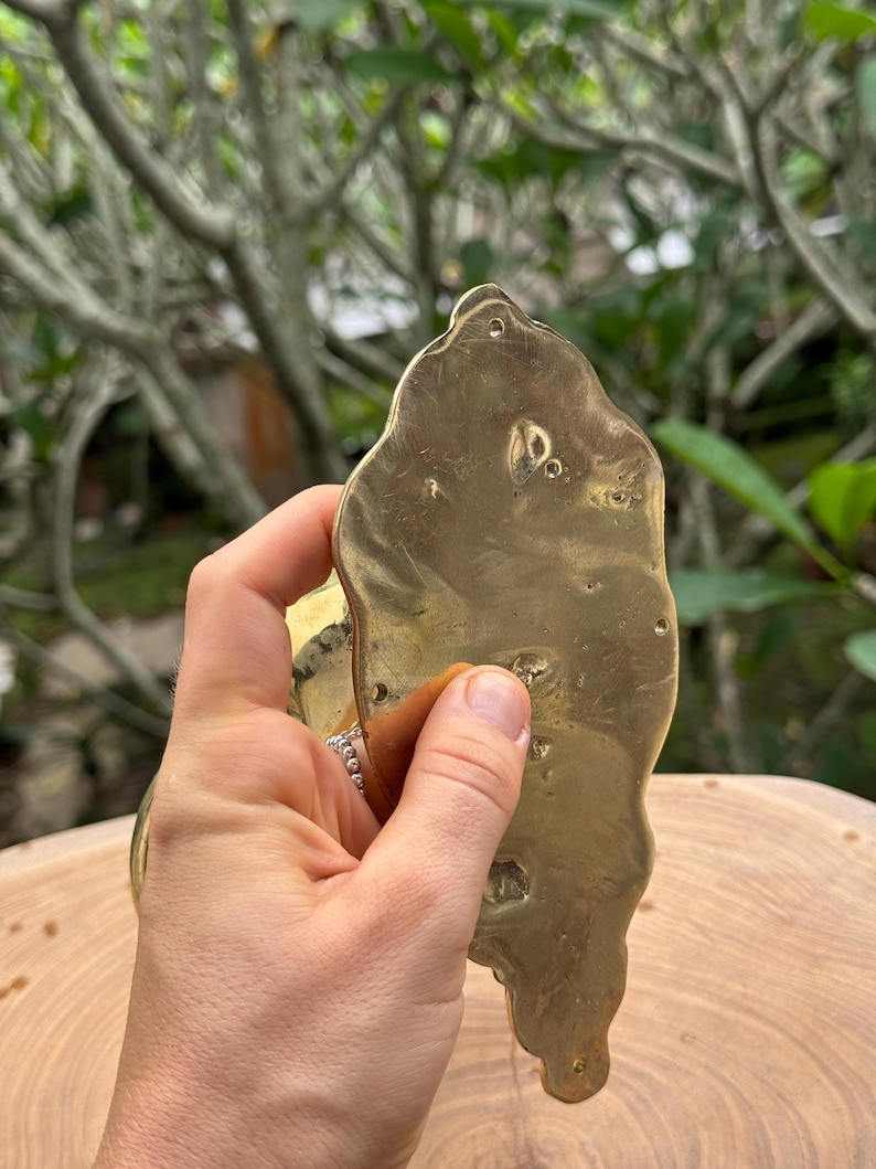May include: A brass-colored, irregularly shaped object with multiple holes and a textured surface. The object is held in a hand, with a blurred green background of foliage.
