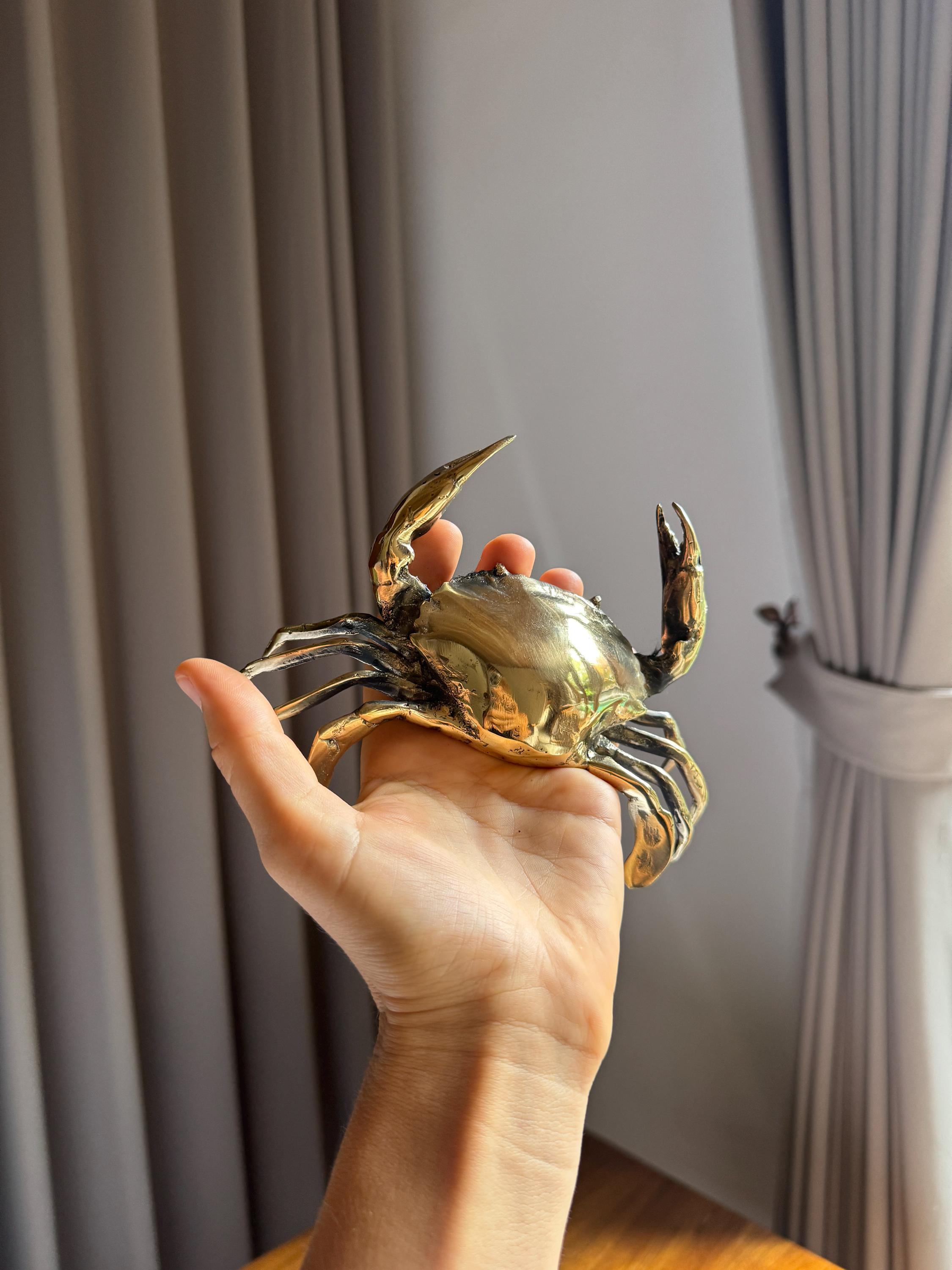 Toddmomy Messing krab figuur, robuuste messing figuren, kleine