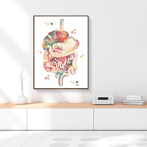 Digestive System Anatomy Print Gastrointestinal Tract Watercolor GI ...