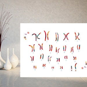 Male Chromosome idiogram watercolor print human karyotype genetic art print biology lab Wall Art chromosomes pair poster art gift image 4