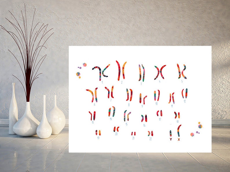 Male Chromosome idiogram watercolor print human karyotype genetic art print biology lab Wall Art chromosomes pair poster art gift image 4