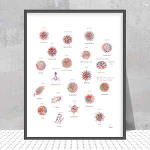 May include: A framed print featuring colorful watercolor illustrations of various viruses, each labeled with its name and the year it was identified. The artwork includes viruses like Poliovirus, Measles, and Ebola, with handwritten notes.