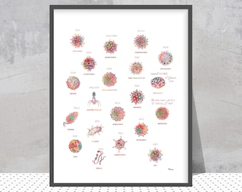 May include: A framed print featuring colorful watercolor illustrations of various viruses, each labeled with its name and the year it was identified. The artwork includes viruses like Poliovirus, Measles, and Ebola, with handwritten notes.