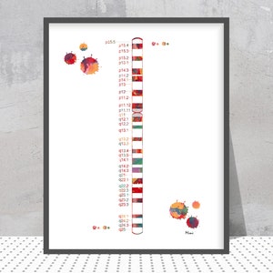 May include: A colorful illustration of a chromosome with a band pattern. The chromosome is labeled with the numbers p15.5 to q25. There are also small colorful dots scattered around the image.