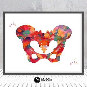 Human pelvis watercolor print pelvis bone poster orthopedic art skeletal system hip anatomy art poster medical art wall decor