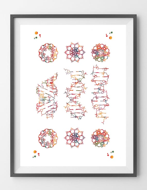 etsy