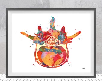 Aquarelle représentant la région lombaire (4) | Art anatomique | Décoration pour clinique orthopédique | Cadeau pour médecin