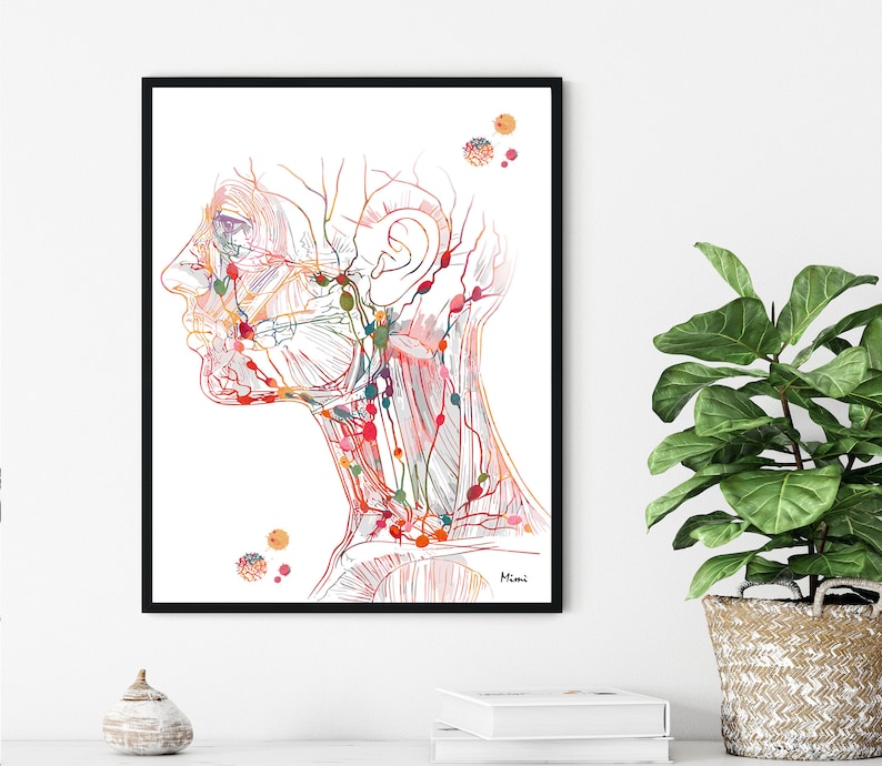 May include: A detailed anatomical illustration of the head and neck, showing the intricate network of nerves and blood vessels. The artwork is rendered in a watercolor style with shades of red, orange, yellow, and blue.