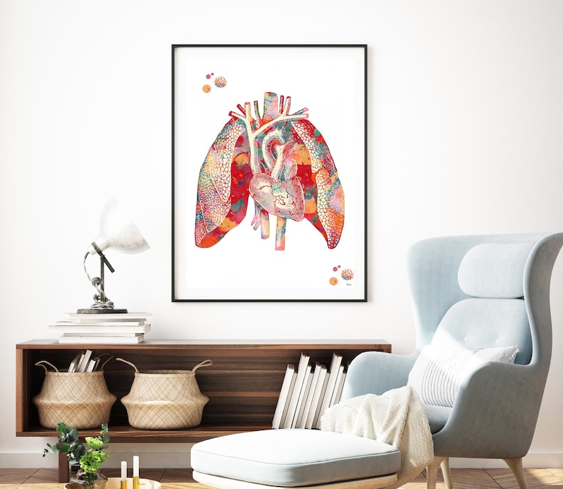 Heart & Lungs Watercolor Print - Anatomy Art Poster - Etsy