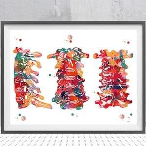 Cervical spine watercolor print anatomy art cervical vertebrae anatomy art medical art orthopedic art vertebral column bones wall decor