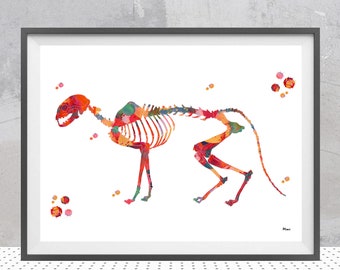 Cat skeletal system watercolor print veterinary art Cat anatomy poster feline skeleton structure print cat skeleton and bones illustration