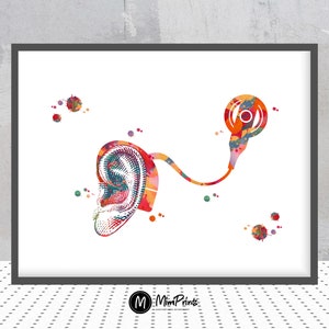 Implant ślimakowy Akwarela Wydruk Audiologia Plakat Ucho Wewnętrzne Leczenie Utraty Słuchu Sztuka Uszu Audiolog Dekoracja Ścienna Sztuka Mowy Języka