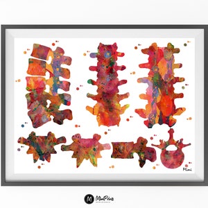 Lumbar Spine Watercolor Print, Vertebral Anatomy Art - Etsy