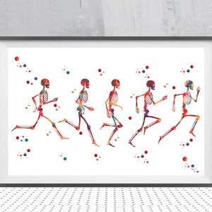 Running Phases Watercolor Print Anatomy Art Human Body Skeletal System Poster Running Stages Print Medical art Running Biometrics Sport Art