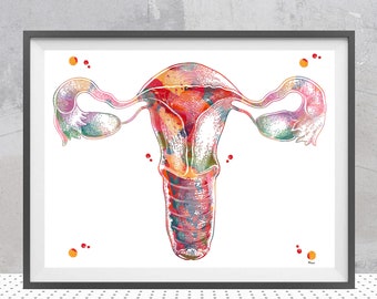 Uterus Anatomy Watercolor Print | Female Reproductive System | OB-GYN Clinic Decor