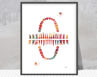 Teeth Row Diagram: Maxillary and mandibular teeth illustration, dental art watercolor print