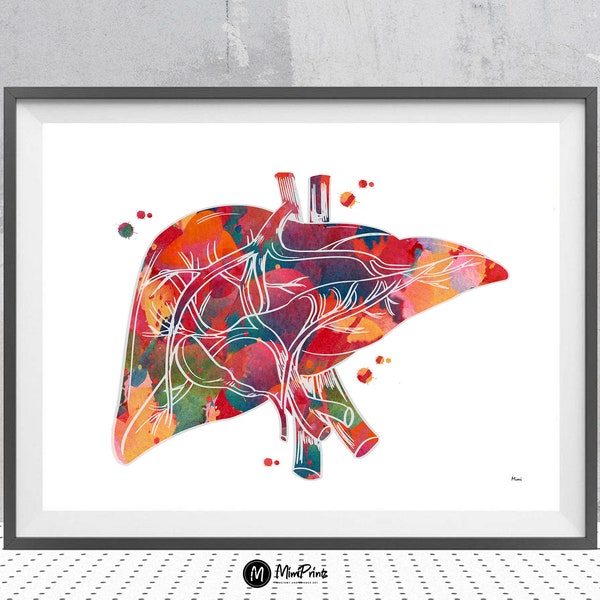 Human Liver anatomy print medical art watercolor surgery art medicine clinic wall decor anatomical liver art