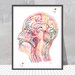 see more listings in the BRAIN ART | NEUROLOGY section