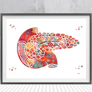 Pancreas watercolor print human anatomy internal organs pancreas poster medical art wall decor anatomy art gift pancreas print