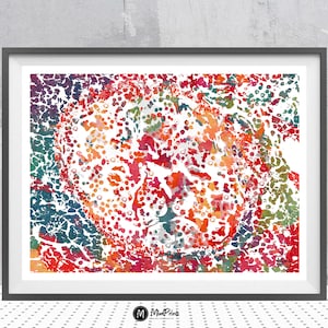 Pancreatic Cells Anatomy Print Islets Of Langerhans Poster Medical Art Physiology Pancreatic Cells Print Endocrinology Anatomy Art Gift
