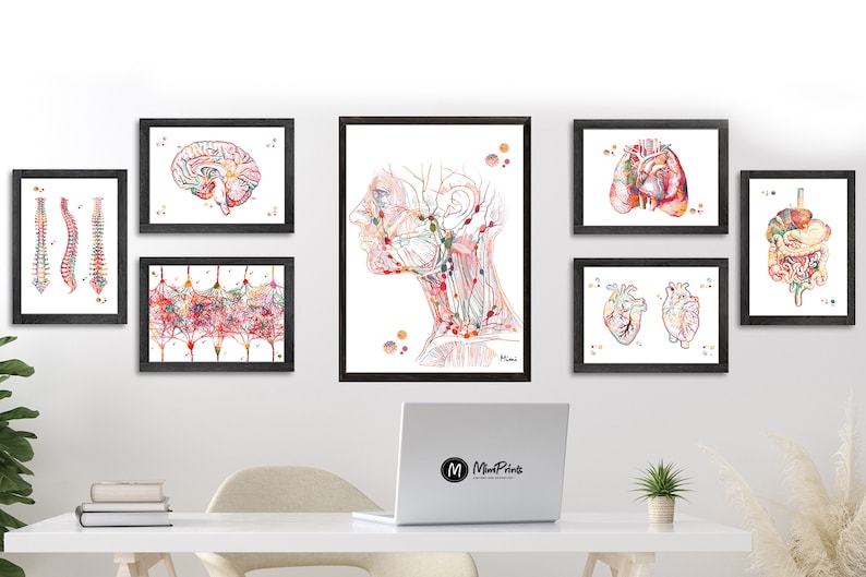 May include: A set of eight anatomical illustrations of the human body, including the brain, spine, heart, lungs, digestive system, and head and neck. The illustrations are done in a watercolor style with vibrant colors and intricate details. The illustrations are framed in black frames and are displayed on a white wall.