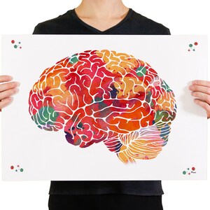 Brain Anatomy Print Brain Lobes Poster Lateral View Of the Human Brain Painting Cerebral Cortex Watercolor Neurologist Gift Anatomy Art Gift