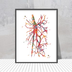 Angiogramm Druck Tiefe Oberschenkelarterie Aquarell Profunda Femoris Angiographie Gefäßmalerei Radiologie Druck Abstrakte Anatomie Kunst Angiologie