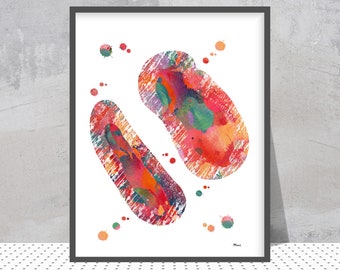 Adrenal Glands Watercolor Print, Anatomy Art Poster