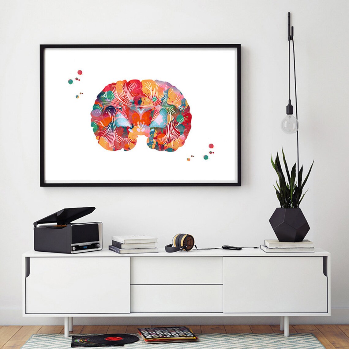 Brain Anatomy Watercolor Print Human Brain Section Poster - Etsy UK