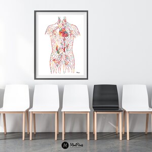 May include: A colorful anatomical illustration of the human circulatory system, showing the heart, lungs, and other organs. The illustration is printed on white paper and framed in a black frame.
